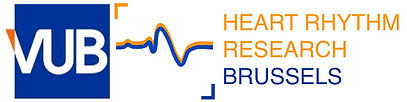 VUB-HRMC University Logo